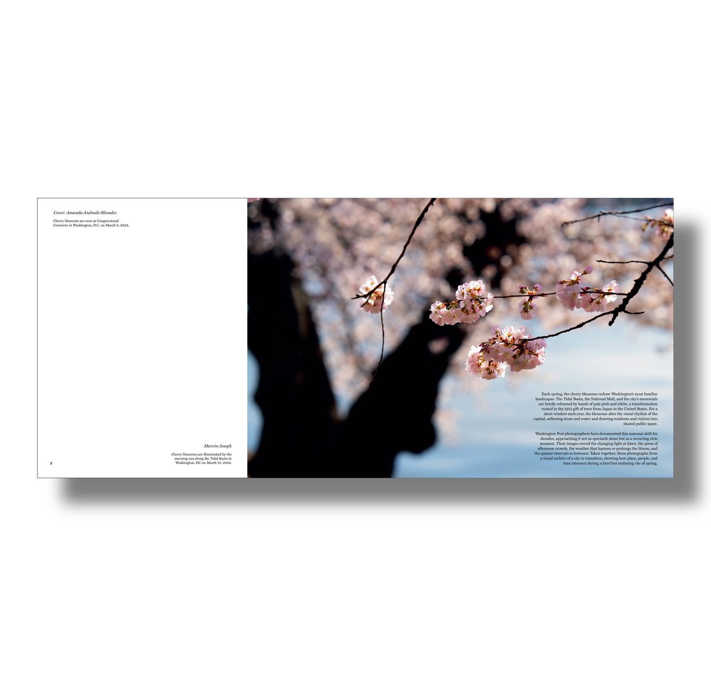 Cherry Blossom Photo Book