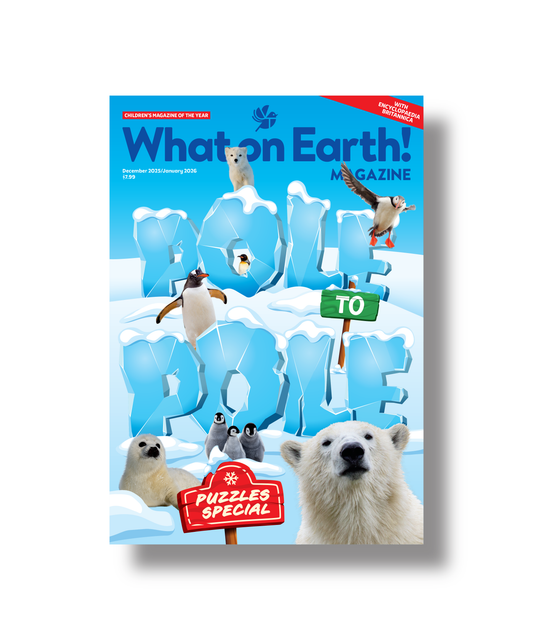 Pole to Pole kids magazine cover world geography Arctic Antarctic exploration