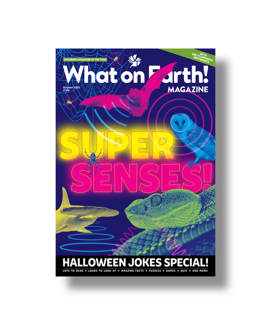 Super senses kids science magazine cover animals and biology October 2025