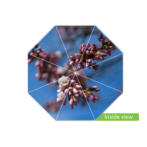 Inside view of umbrella with image of cherry blossoms against a blue sky.